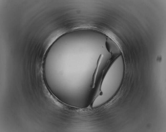 X0000090760906200708031627