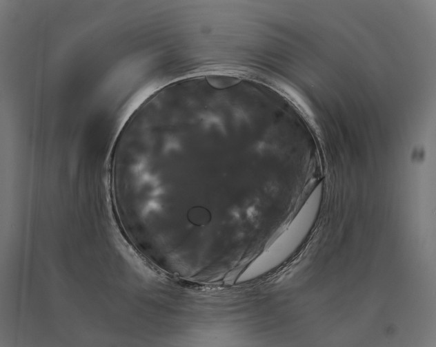 X0000090760907200708031627