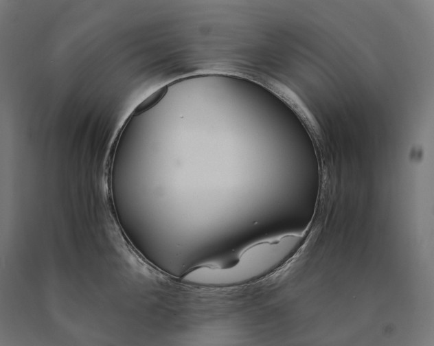 X0000090760908200708031627