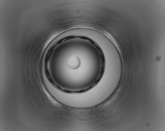 X0000090760909200708031627