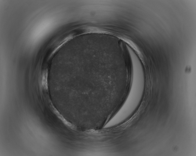 X0000090760910200708031627