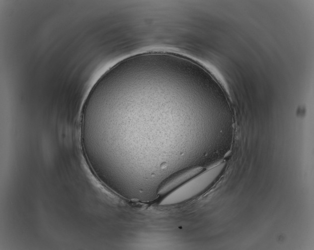 X0000090760911200708031627