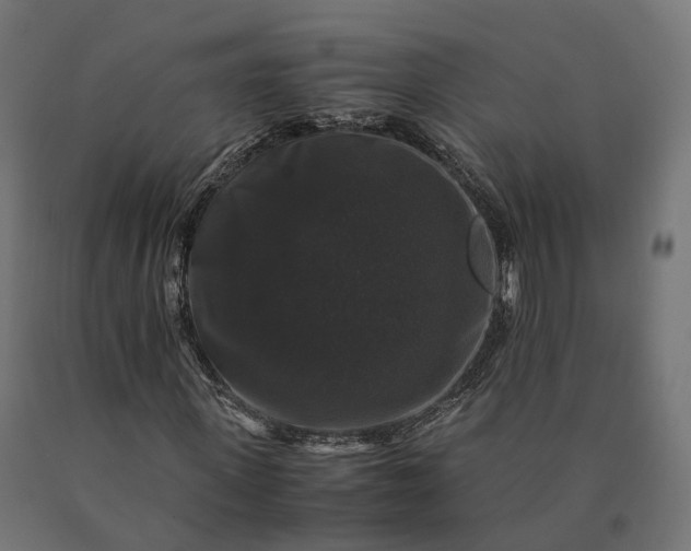 X0000090760915200708031627