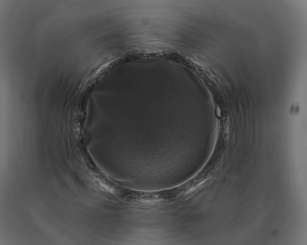 X0000090760916200708031627