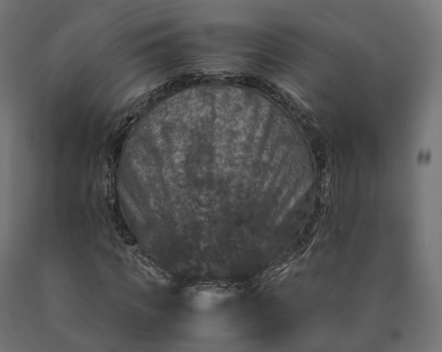 X0000090760917200708031627