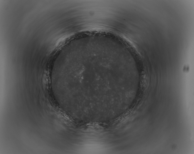 X0000090760918200708031627