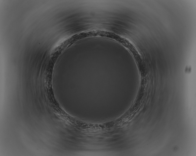 X0000090760919200708031627