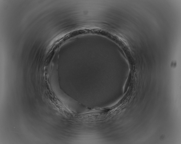 X0000090760920200708031627