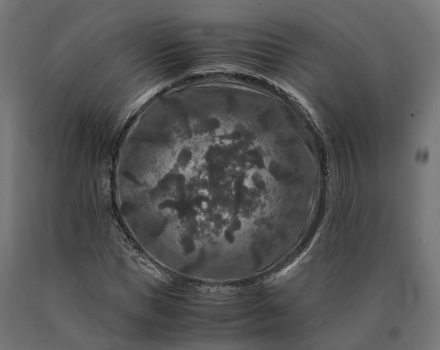 X0000090760921200708031627