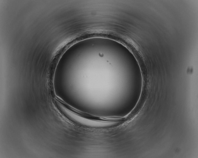 X0000090760922200708031627