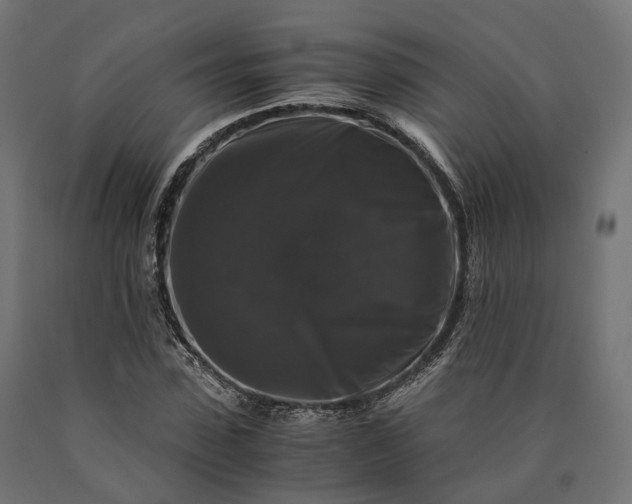 X0000090760923200708031627