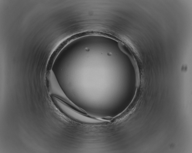 X0000090760924200708031627