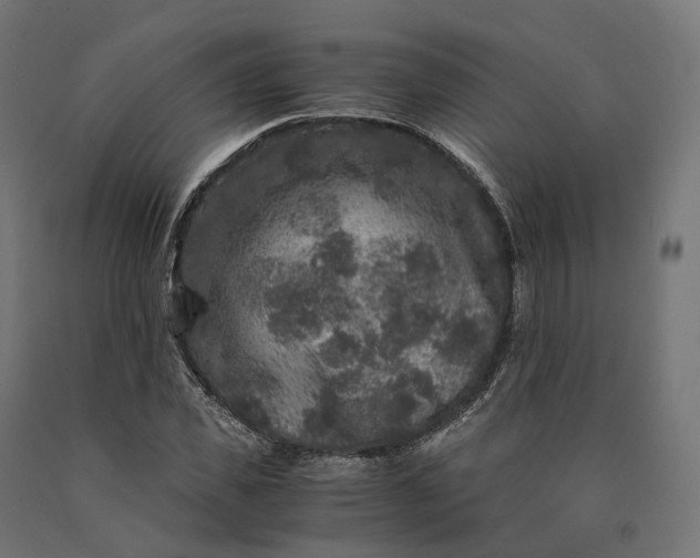 X0000090760925200708031627