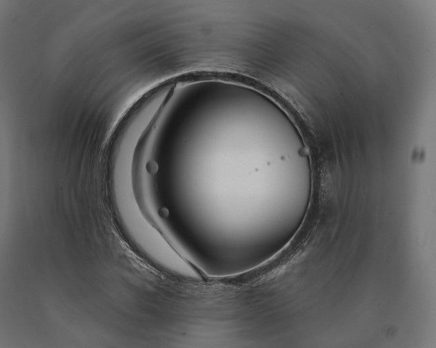 X0000090760926200708031627