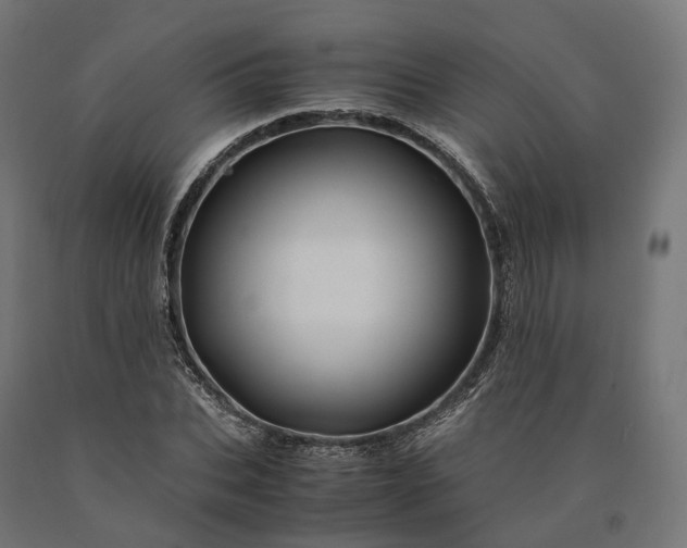 X0000090760927200708031627