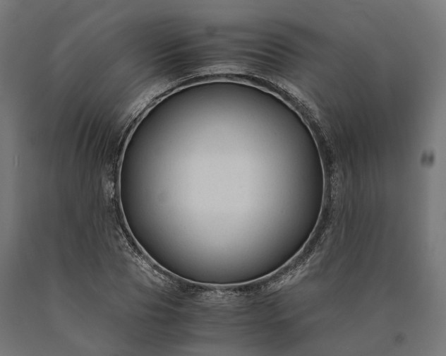 X0000090760929200708031627