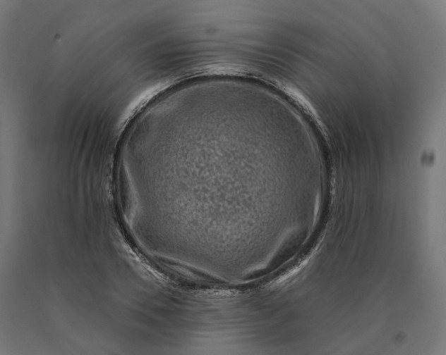 X0000090760930200708031627