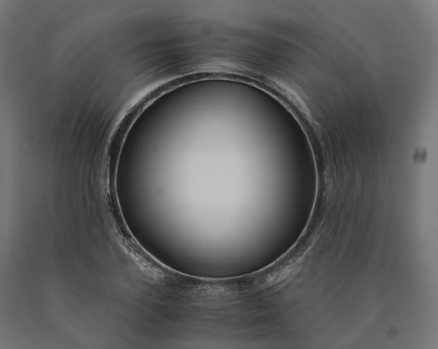 X0000090760931200708031627