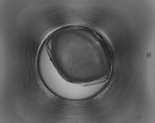 X0000090760932200708031627