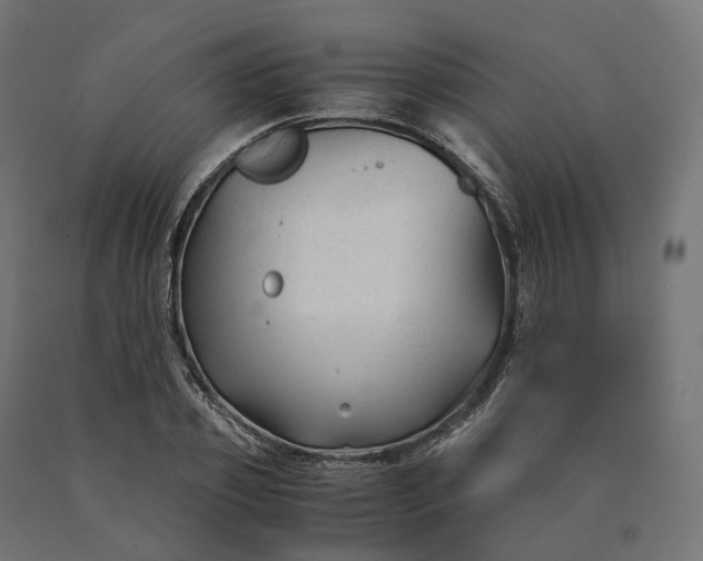 X0000090760933200708031627