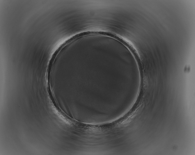 X0000090760935200708031627