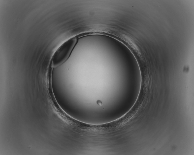 X0000090760936200708031627