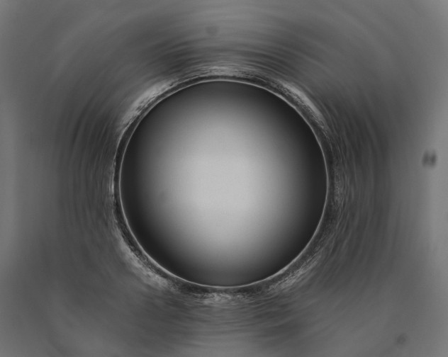 X0000090760938200708031627