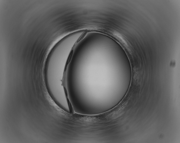 X0000090760939200708031627