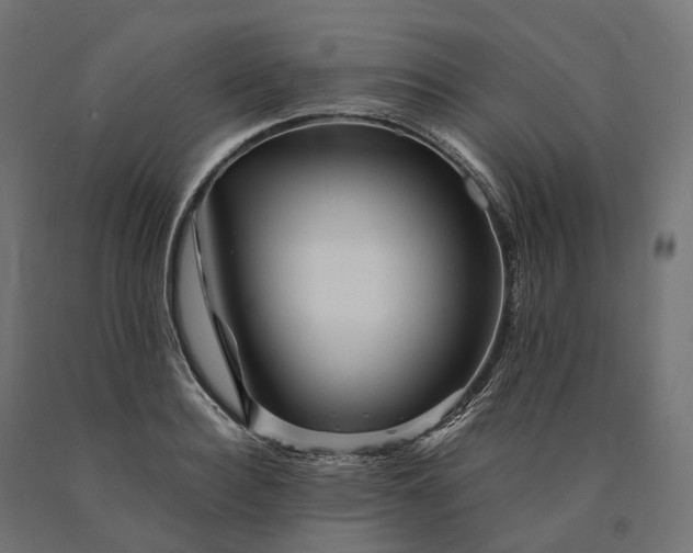 X0000090760940200708031627