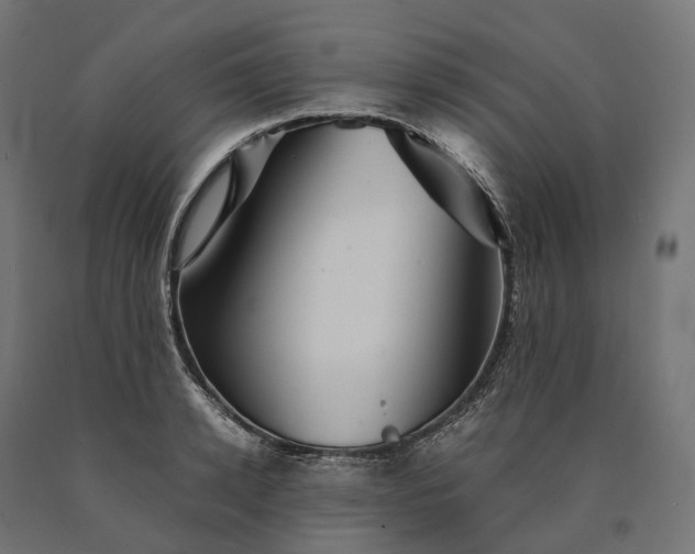 X0000090760942200708031627