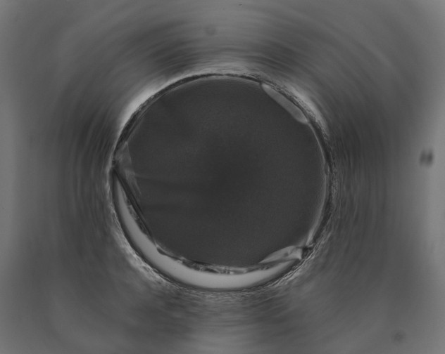 X0000090760944200708031627