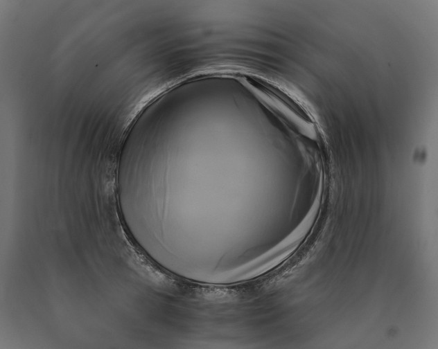 X0000090760945200708031627