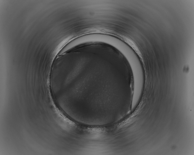 X0000090760946200708031627