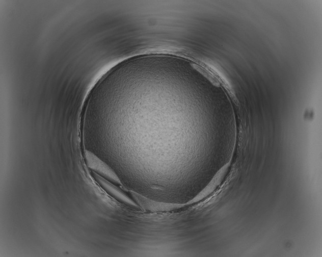 X0000090760948200708031627