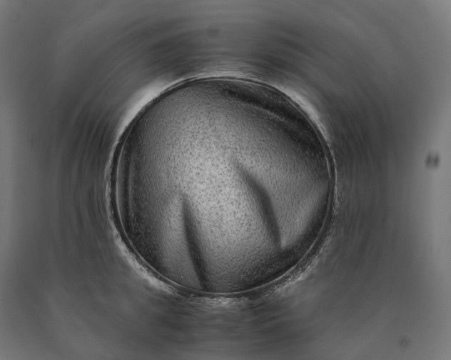 X0000090760949200708031627