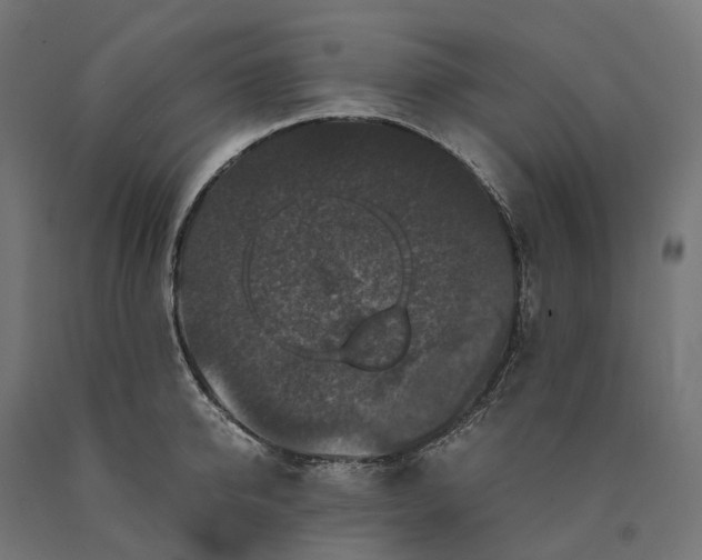 X0000090760950200708031627