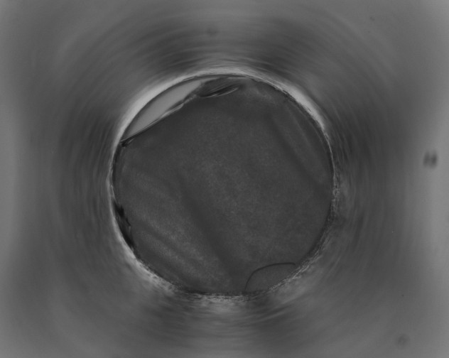 X0000090760951200708031627