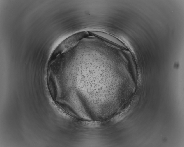 X0000090760952200708031627