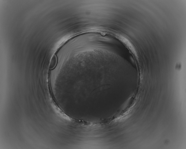 X0000090760954200708031627