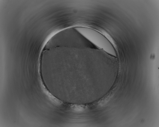 X0000090760955200708031627