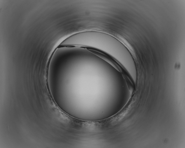 X0000090760956200708031627