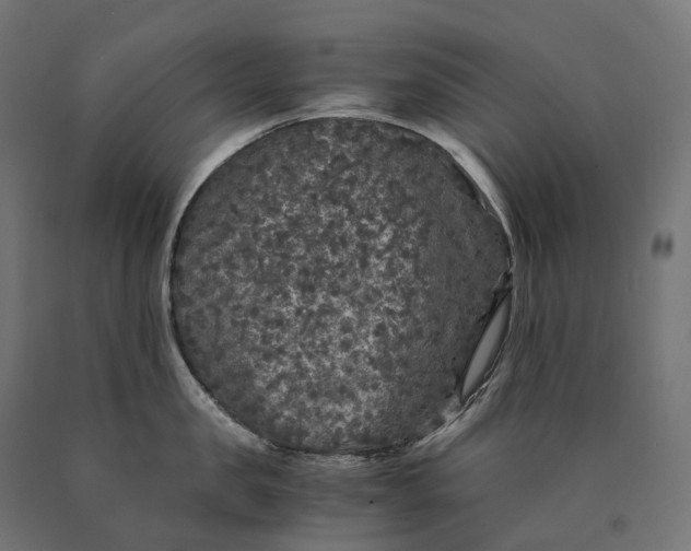 X0000090760957200708031627