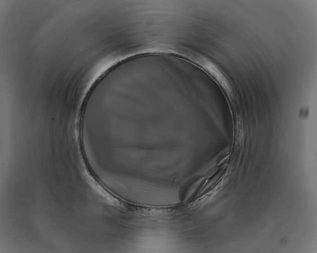 X0000090760958200708031627