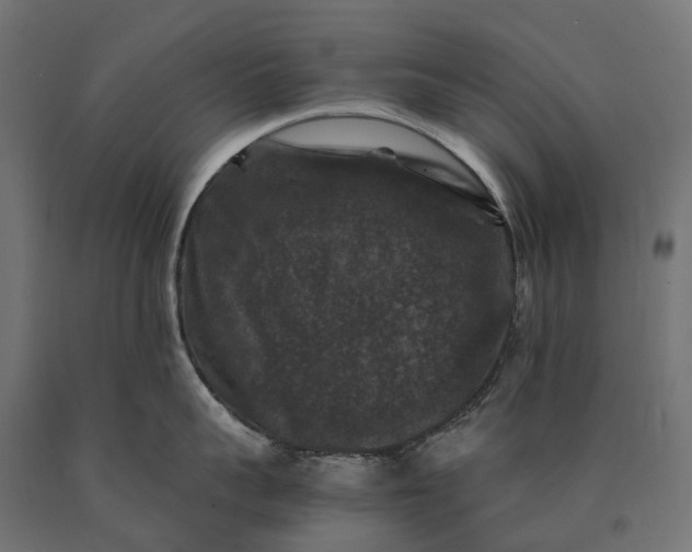 X0000090760959200708031627