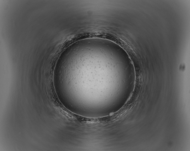 X0000090760961200708031627