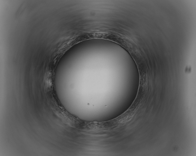 X0000090760962200708031627