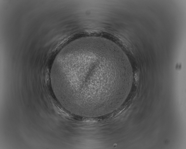 X0000090760963200708031627