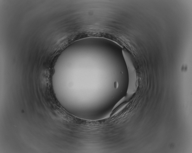 X0000090760964200708031627