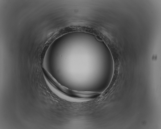 X0000090760965200708031627