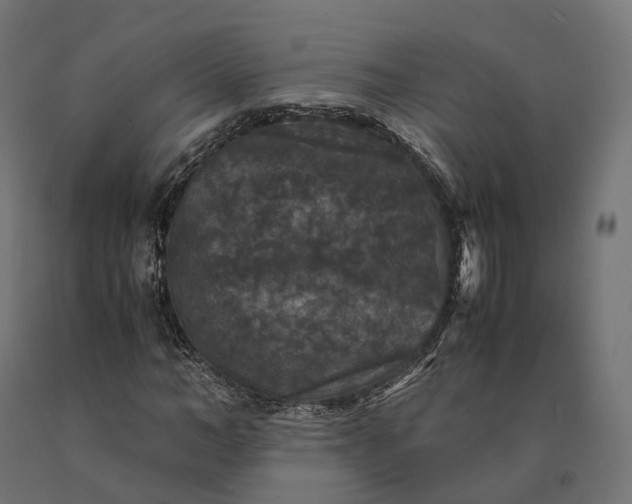 X0000090760966200708031627